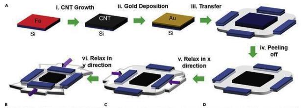 Z6·尊龙凯时「中国集团」官方网站